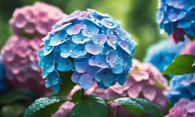 lifelike hydrangea art illusion