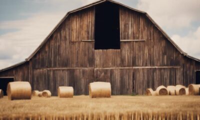 realistic barn wall art