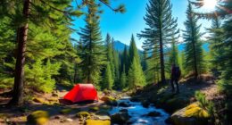 exploring nature through activities