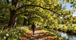 stress relief walking techniques