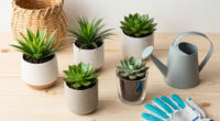 7 Best Indoor Gardening Prime Day Deals in 2026