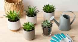 7 Best Indoor Gardening Prime Day Deals in 2026