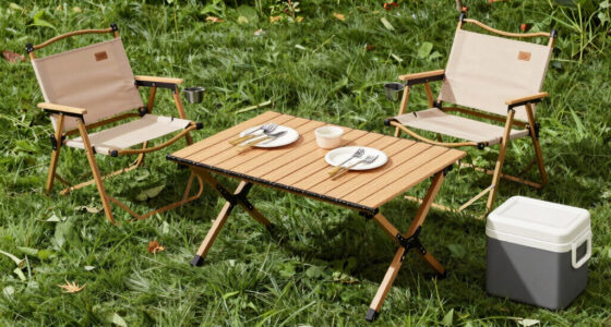 11 Best Outdoor Tailgating Furniture in 2026