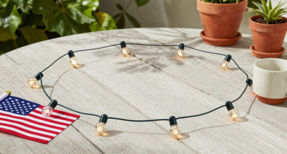 12 Best Patriotic Outdoor String Lights in 2026