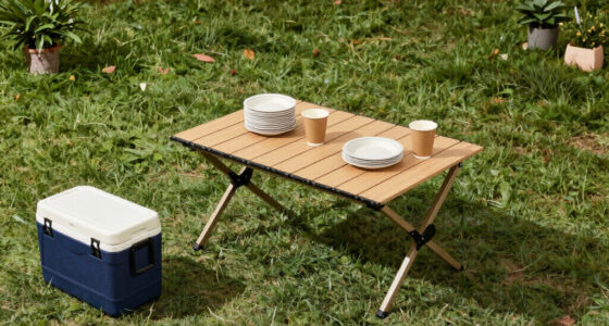 13 Best Outdoor Tailgating Furniture in 2026