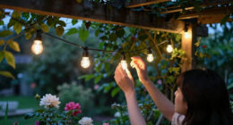 15 Best Outdoor String Lights in 2026
