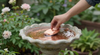 A Heatwave Can Spoil Bird Bath Water Fast – This Simple Copper Trick Keeps It Fresher for Longer