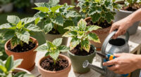 These 6 Classic Plants Aren't Standing Up To Modern Heat Waves – Here's What To Plant Instead