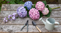 This Overlooked Hydrangea Cousin Is The Native Flowering Vine More Gardeners Should Be Growing