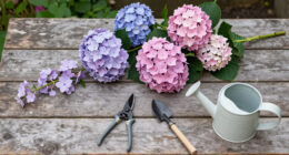 This Overlooked Hydrangea Cousin Is The Native Flowering Vine More Gardeners Should Be Growing