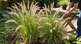 10 Best Easy-to-Grow Ornamental Grasses That Add A Professional Polish To Your Backyard