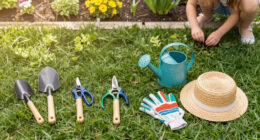 10 Best Garden Tool Sets for Students in 2026
