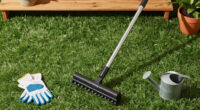 Scarifier Vs Dethatcher: Experts Explain The Difference And Which One You Should Use On Your Lawn