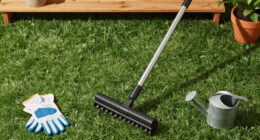 Scarifier Vs Dethatcher: Experts Explain The Difference And Which One You Should Use On Your Lawn