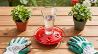 This $20 Garden Item Will Help Hummingbirds Survive The Great Migration