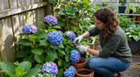 12 Best Hydrangea Plants for Colorful Gardens in 2026