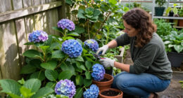 12 Best Hydrangea Plants for Colorful Gardens in 2026