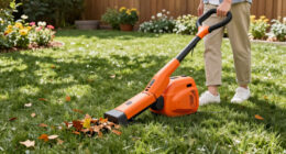 14 Best Electric Leaf Blowers for 2026