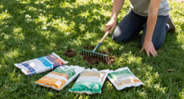5 Healing Lawn Care Tasks To Revive And Repair Grass After Summer Heat – Get These Fixes Done Before September Ends