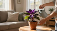 6 Purple Houseplants That Add Instant Drama To Your Home – And They're Low Maintenance, Too!