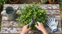 Do You Know The September Stagger? This Easy Late-Season Pruning Trick Will Transform Your Fall Borders