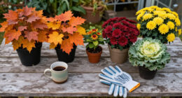 Fall Planter Ideas: Autumn Palettes And Plant Suggestions