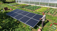 One Fewer Barrier For Farmers Who Want To Cover Fields With Solar Panels - Los Angeles Times