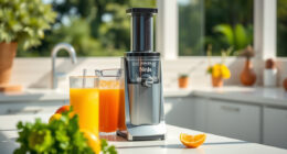 Summer Freshness: Tips & Hacks for Your Ninja NeverClog Cold Press Juicer