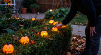 15 Best Halloween Garden Lights in 2027