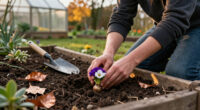 6 Striking Bulbs To Plant In November And Skyrocket Your Spring Garden – There’s Still Plenty Of Time