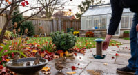 Birds Need Your Help This Fall – An Expert Shares 5 Things To Do In October To Support Backyard Birdlife