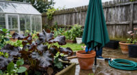 How To Storm-proof Your Garden: 5 Essential Jobs To Protect Plants, Pots And Outdoor Furniture