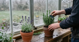 Maximising Scent In The Winter Months