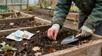 Plant These 7 Flower Seeds In November For Gorgeous Early Blooms Next Year