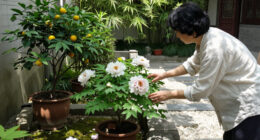 Plants For Luck, Love And Long Life: 9 Chinese Garden Favourites