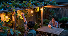 Spooky Outdoor String Lights: A Halloween Guide