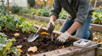Why Fall Is The Best Time To Test Garden Soil